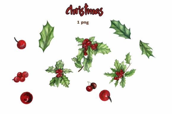 Christmas Plants Set: Premium Illustrations for Sellers